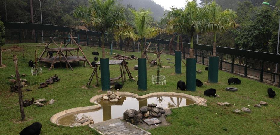 bear sanctuary tam dao vietnam