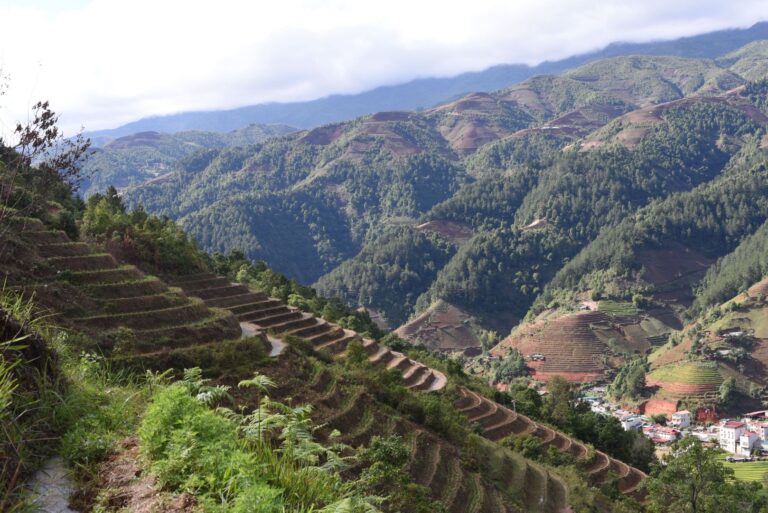 terraced rice paddies in Mu Cang Chai