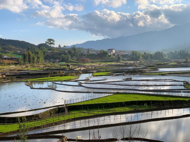 some beautiful rice fields in Mu Cang Chai
