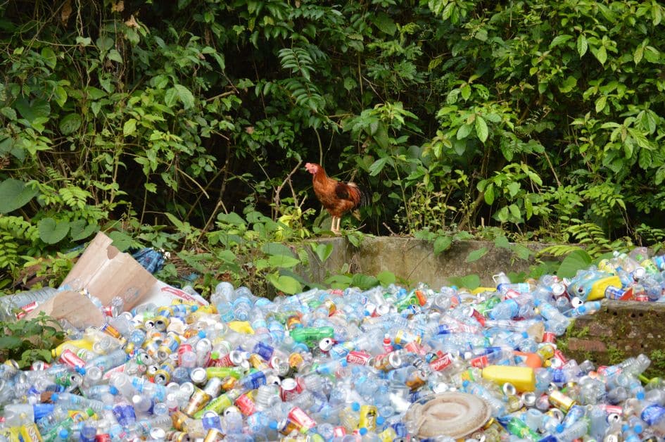 rubbish in Cuc Phuong