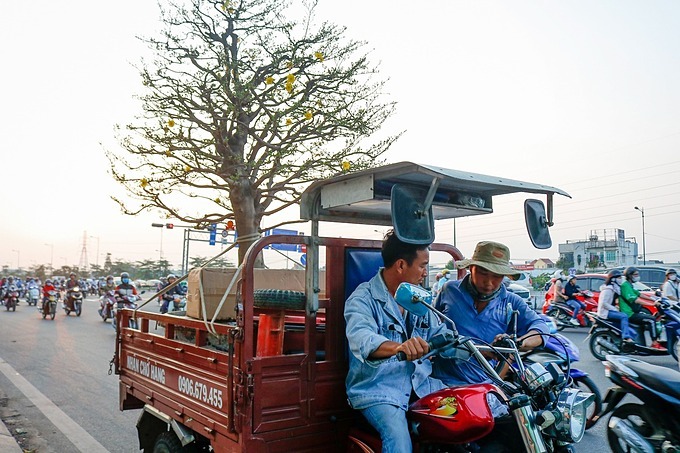 Transporting Tet Trees
