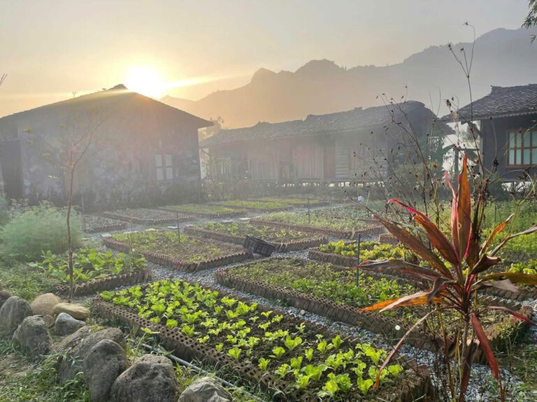 morning has broken in Du Gia